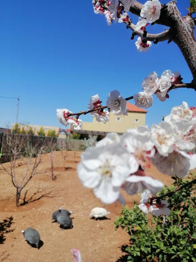 Villa Zee Madaba Eksteriør bilde