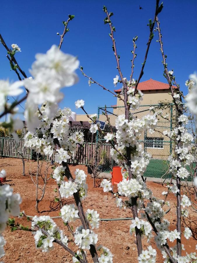 Villa Zee Madaba Eksteriør bilde